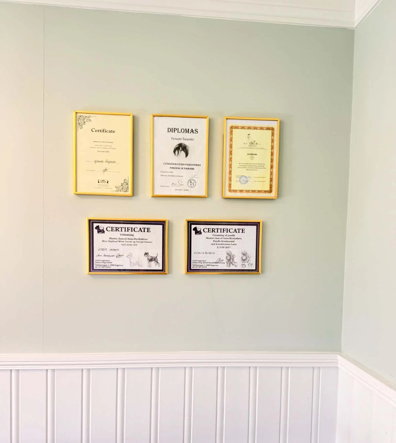Innrammede kursbevis og diplomer henger på veggen i salongen.